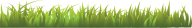 Grass Free PNG Image Download 7