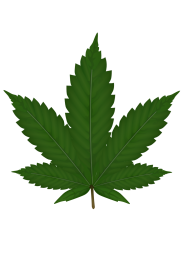 Green Leaves Free PNG Image Download 45