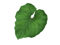 Green Leaves Free PNG Image Download 65