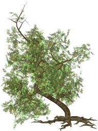 Green Tree Clipart