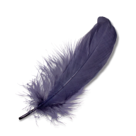 Grey Feather PNG Image Download