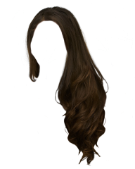 Hair Free PNG Image Download 29
