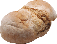 hand made full breed  free png download