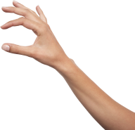 Hands PNG Free Image Download 15