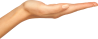 Hands PNG Free Image Download 58