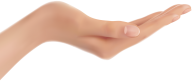 Hands PNG Free Image Download 59