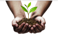 Hands PNG Free Image Download 60