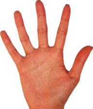 Hands PNG Free Image Download 62