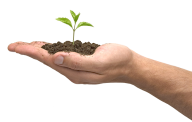 Hands PNG Free Image Download 70