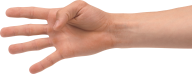 Hands PNG Free Image Download 77