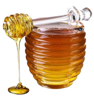 Honey PNG Free Image Download 12