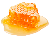 Honey PNG Free Image Download 13