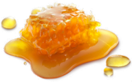 Honey PNG Free Image Download 23