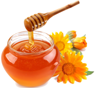 Honey PNG Free Image Download 28
