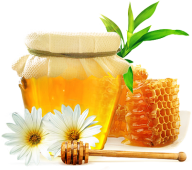 Honey PNG Free Image Download 29