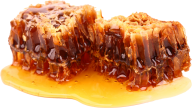Honey PNG Free Image Download 3