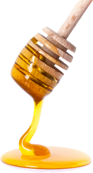 Honey PNG Free Image Download 31