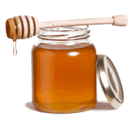 Honey PNG Free Image Download 32