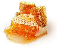 Honey PNG Free Image Download 33