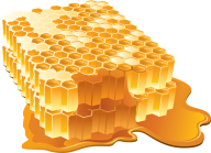 Honey PNG Free Image Download 4