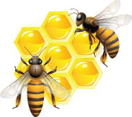 Honey PNG Free Image Download 6