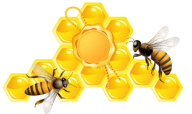 Honey PNG Free Image Download 8
