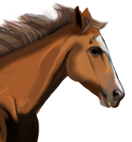 Horse PNG Free Image Download 25