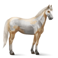 Horse PNG Free Image Download 36