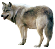 hungry wolf free png download