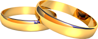 Jewelry PNG Free Download 101