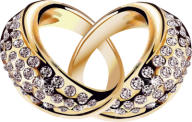 Jewelry PNG Free Download 35
