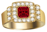 Jewelry PNG Free Download 63