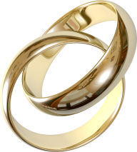 Jewelry PNG Free Download 99