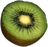 Kiwi PNG Free Download 10