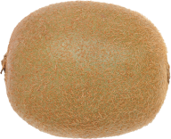 Kiwi PNG Free Download 11