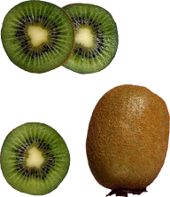 Kiwi PNG Free Download 12