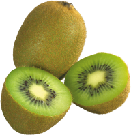 Kiwi PNG Free Download 15