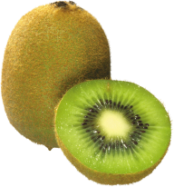 Kiwi PNG Free Download 16