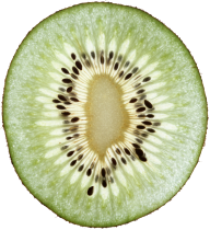 Kiwi PNG Free Download 18