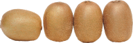 Kiwi PNG Free Download 19