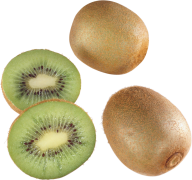 Kiwi PNG Free Download 2