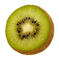 Kiwi PNG Free Download 21