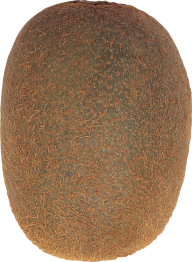 Kiwi PNG Free Download 3