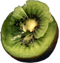 Kiwi PNG Free Download 4