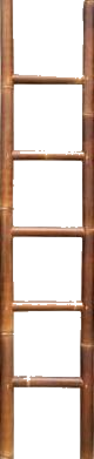 Ladder PNG Free Download 24