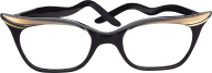 ladies specks png