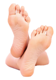 Leg PNG Free Download 23
