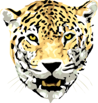 leopard PNG Free Download 29