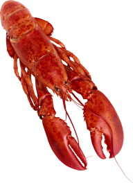 Lobster PNG Free Download 2
