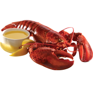 Lobster PNG Free Download 21